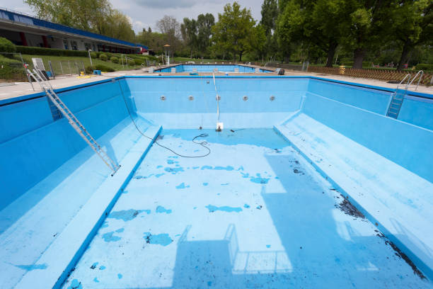 Best Basement water damage restoration  in Opp, AL