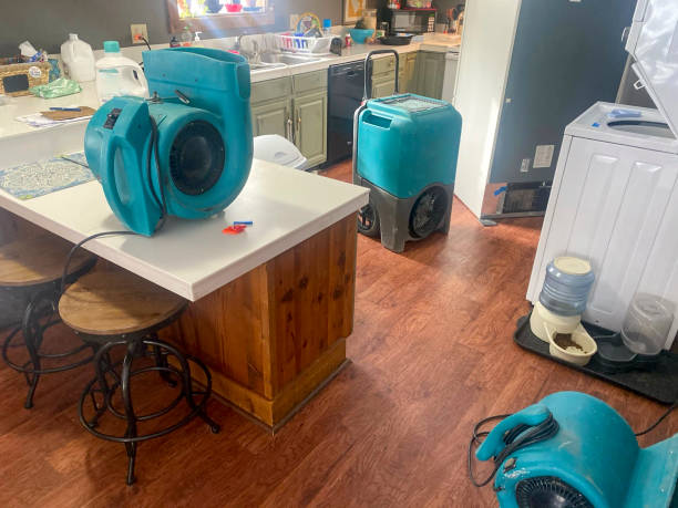 Best Water damage restoration mold remediation  in Opp, AL