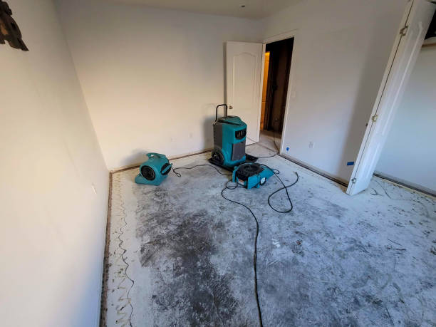 Water damage restoration experts in Opp, AL