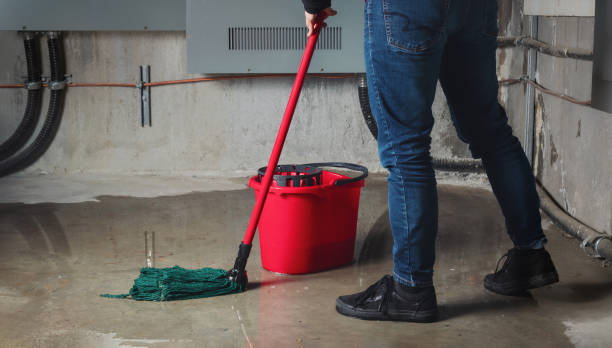 Reliable Opp, AL Water damage restoration Solutions