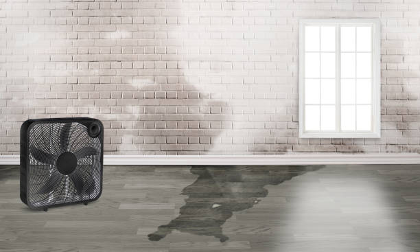 Water damage restoration mold remediation in Opp, AL