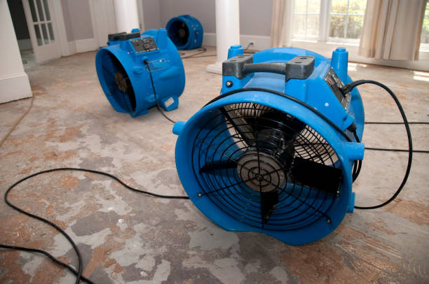 Best Commercial water damage restoration  in Opp, AL