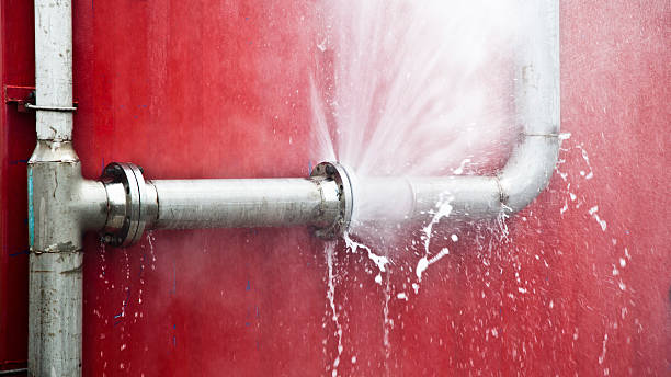 Best Water damage restoration near me  in Opp, AL